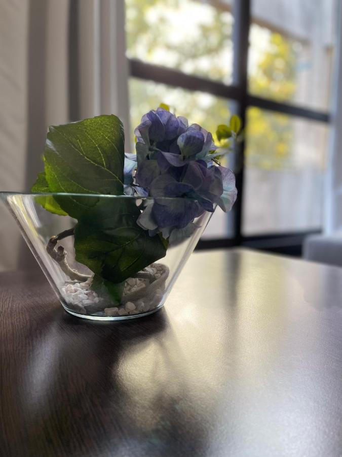 Apartment Dg - Le Relais Du Lac, Proche Disneyland Paris